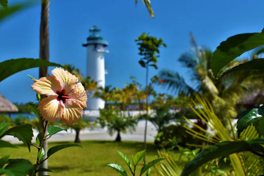 Harvest Caye, Belize with Recipe for Mayan Chocolate Iced Tea